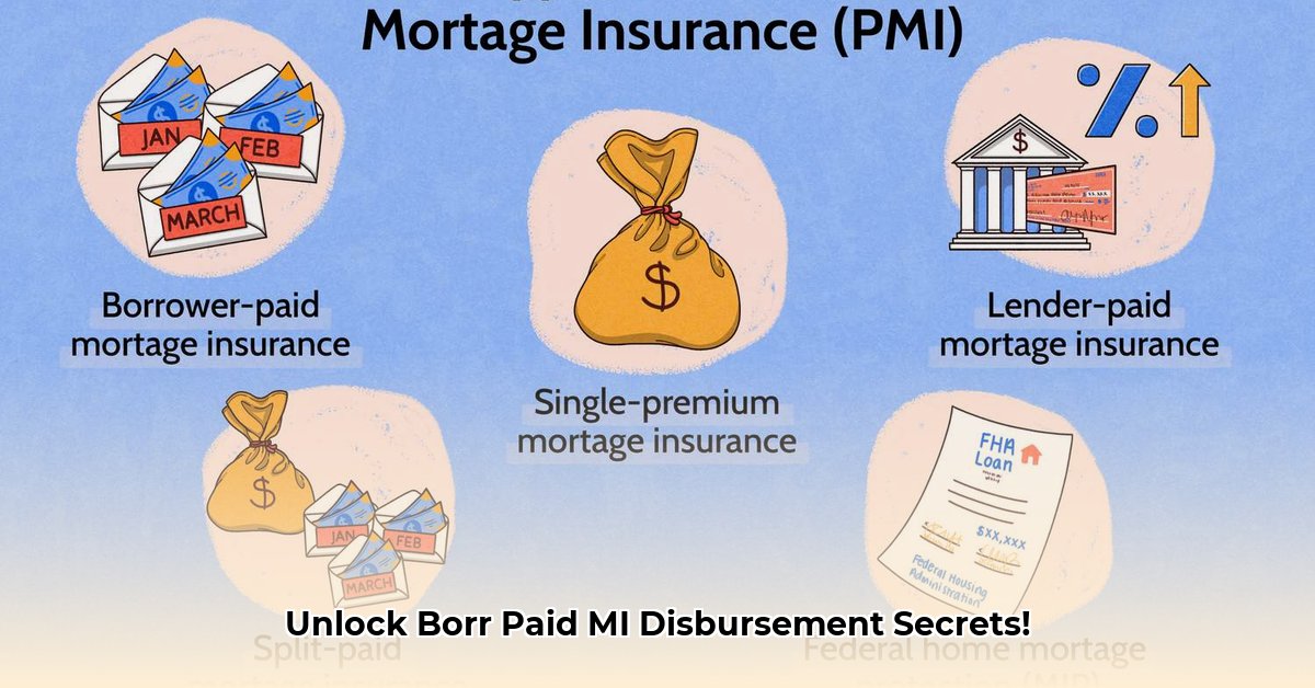 borr-paid-mi-disbursed